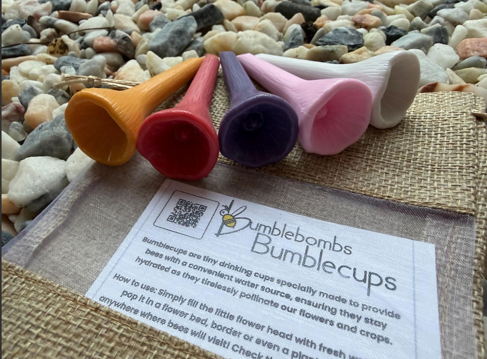 Thumbnail: Set of 5 multicoloured thirsty bee Bumblecups