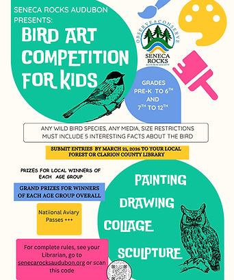 art contest poster 1.png