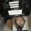 Miniaturbild: B.R.M V6-44 Martini Racing Skeleton Automatic Black PVD m. 3 Jahren Garantie