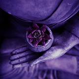 buddha holding flower.png
