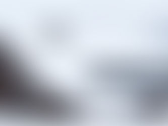 ❄️ Winter Prep: Protecting Your Roof and Gutters Before the First Snow