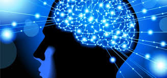 Investigation: Your Senses Are Deceptive
