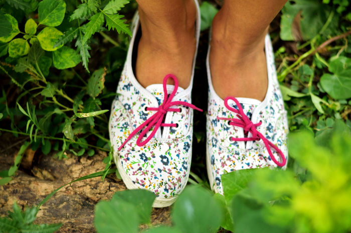 Story of White Shoe