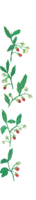 Untitled design-4_edited.png