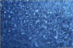 2025-11-26 L'eau dans tous ses états 52