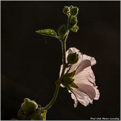 2025-04-02 Au travers de  09