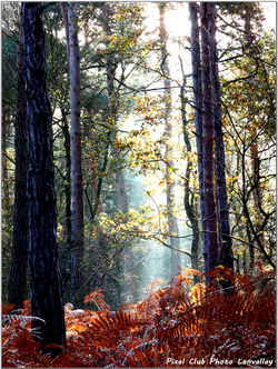 2026-03-18 Thème Libre 28