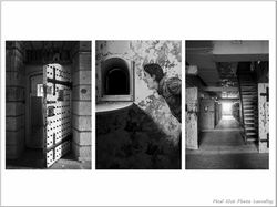 2026-01-28 Trois photos pour dire 02