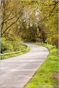 2026-04-01 les courbes dans la nature 13