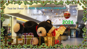 Les Vœux du Pixel pour 2026