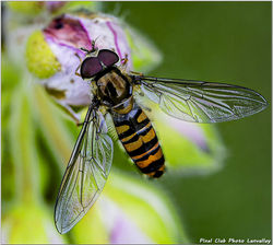 2026-02-04 Proxy & macro 22