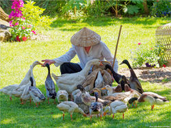 2024-05-22 Ce qu'il te plait 31