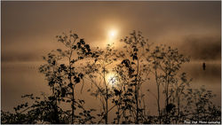 2025-05-07-Contre jour  03