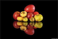 2024-05-29 reflets 27