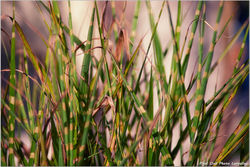 2025-10-15 Photos sur la Nature 27