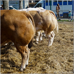 2026-04-01 les courbes dans la nature 40