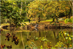 2025-10-15 Photos sur la Nature 43