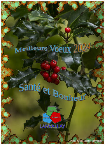 Meilleurs Vœux 2024