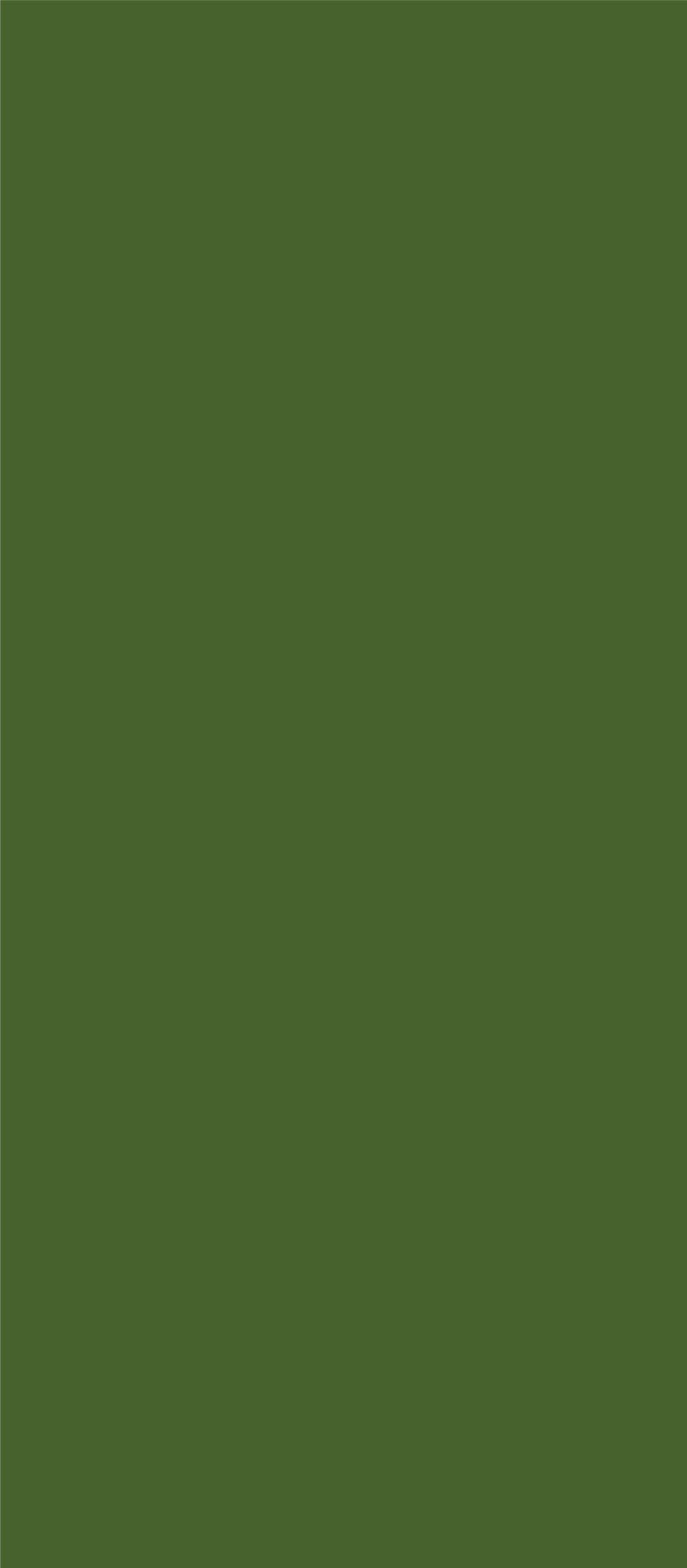bg-crow.png