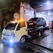 Guincho carregando um palio