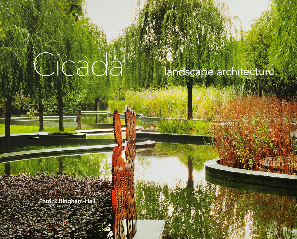 CICADA cover.jpg