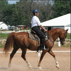 Lakeview show 035_copy.jpg