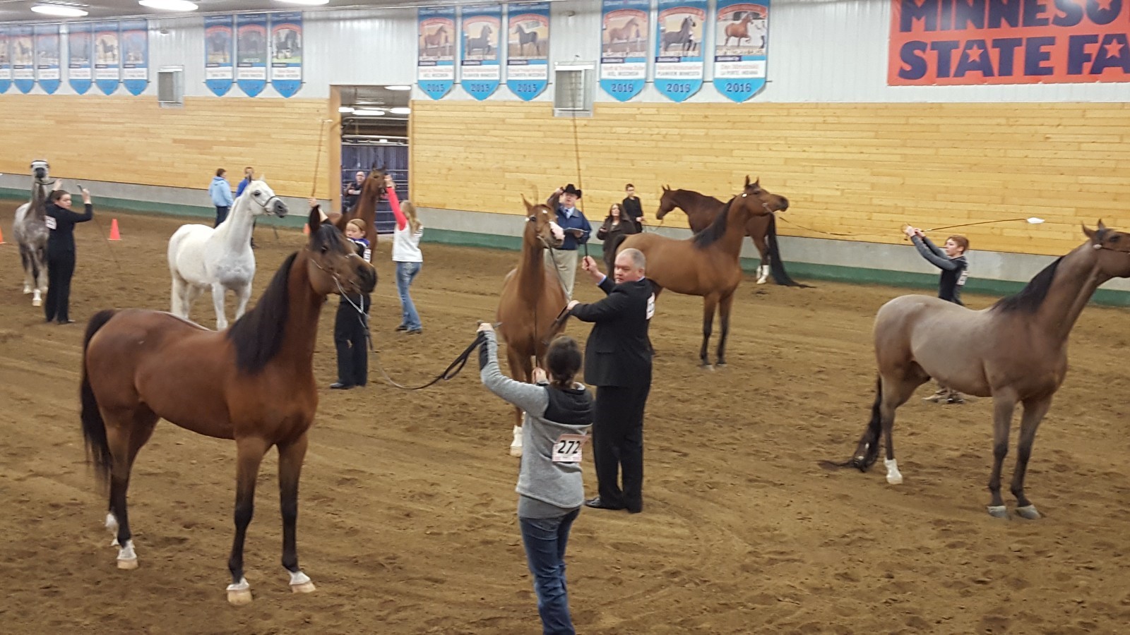 Horse Club Minnesota Minnesota Half Arabian Horse Association