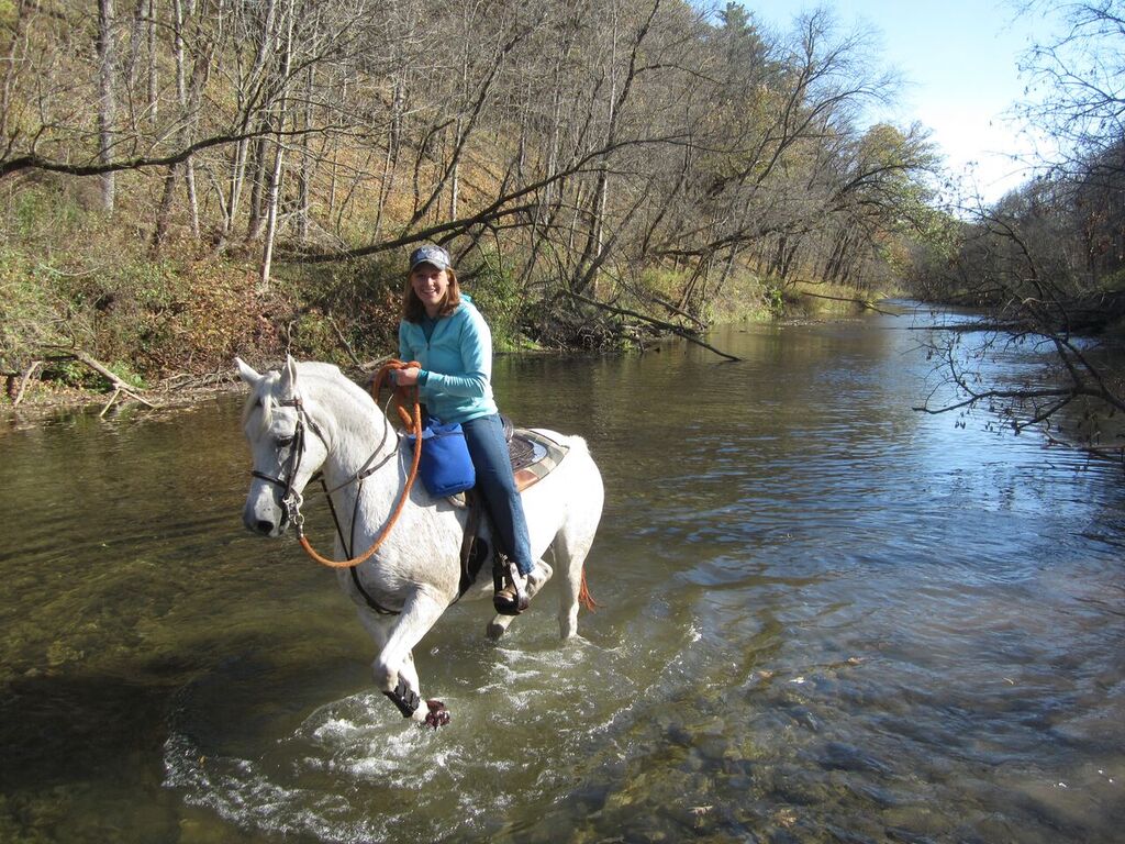 Horse Show Minnesota Great Arabian Get Together