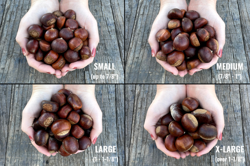 Small Chestnuts (up to 7/8” or 22 mm), 7.5# Bag - $6.40/lb