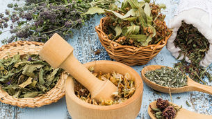 La phytothérapie : une plante est-elle un médicament ? 