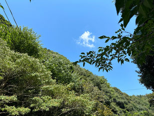 何もかも忘れて気が付いたら寝てたけど夢だったのかな