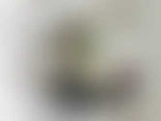 Antique Glass Mirror Splashbacks — Add Timeless Elegance to Your Kitchen