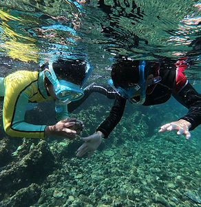 掲載写真(シュノーケリング魚類観察).jpg