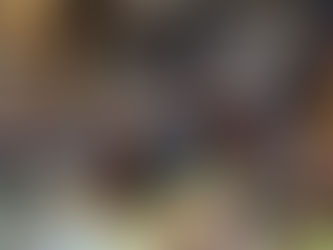 三宅島サマースクール4日目