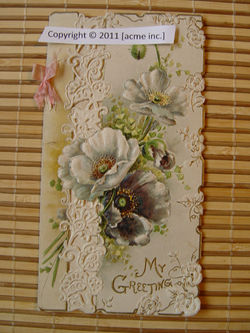 http://www.acme-inc.co.uk/greetingscards/DSC05467.jpg