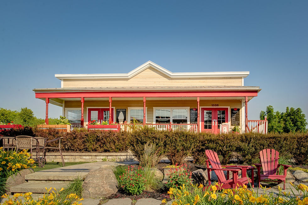  « Merci à L'Antoinette à Saint-Antoine-sur-Richelieu. Ce fut un plaisir de créer le contenu visuel de votre prochain site web. »