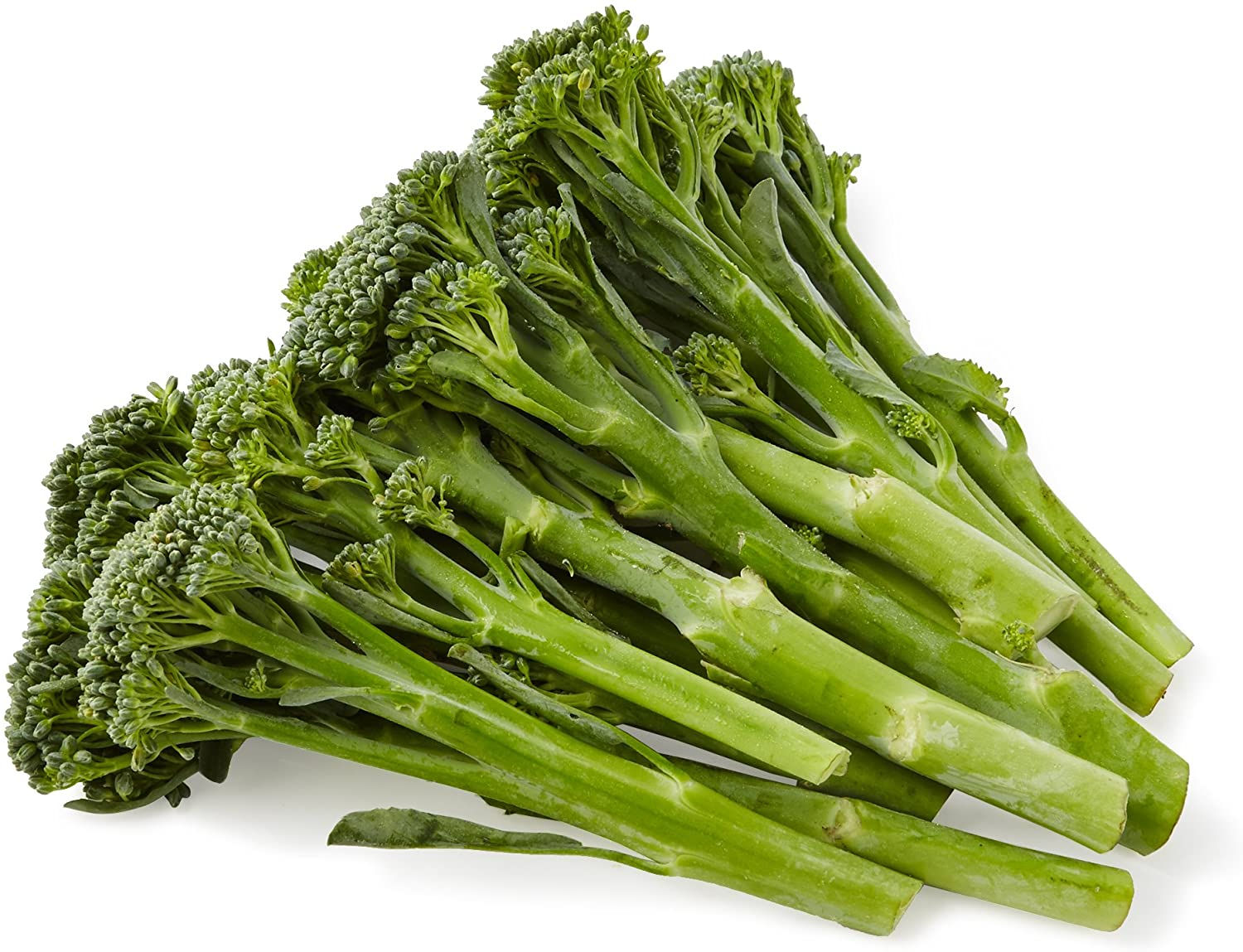 Tender Stem Broccoli 500g
