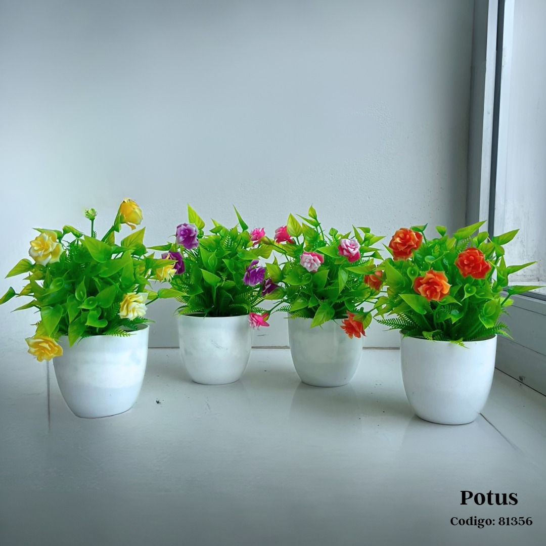 Planta potus