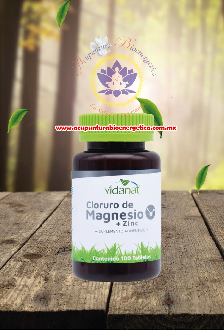Cloruro de Magnesio 100 cápsulas 500 mg Vidanat
