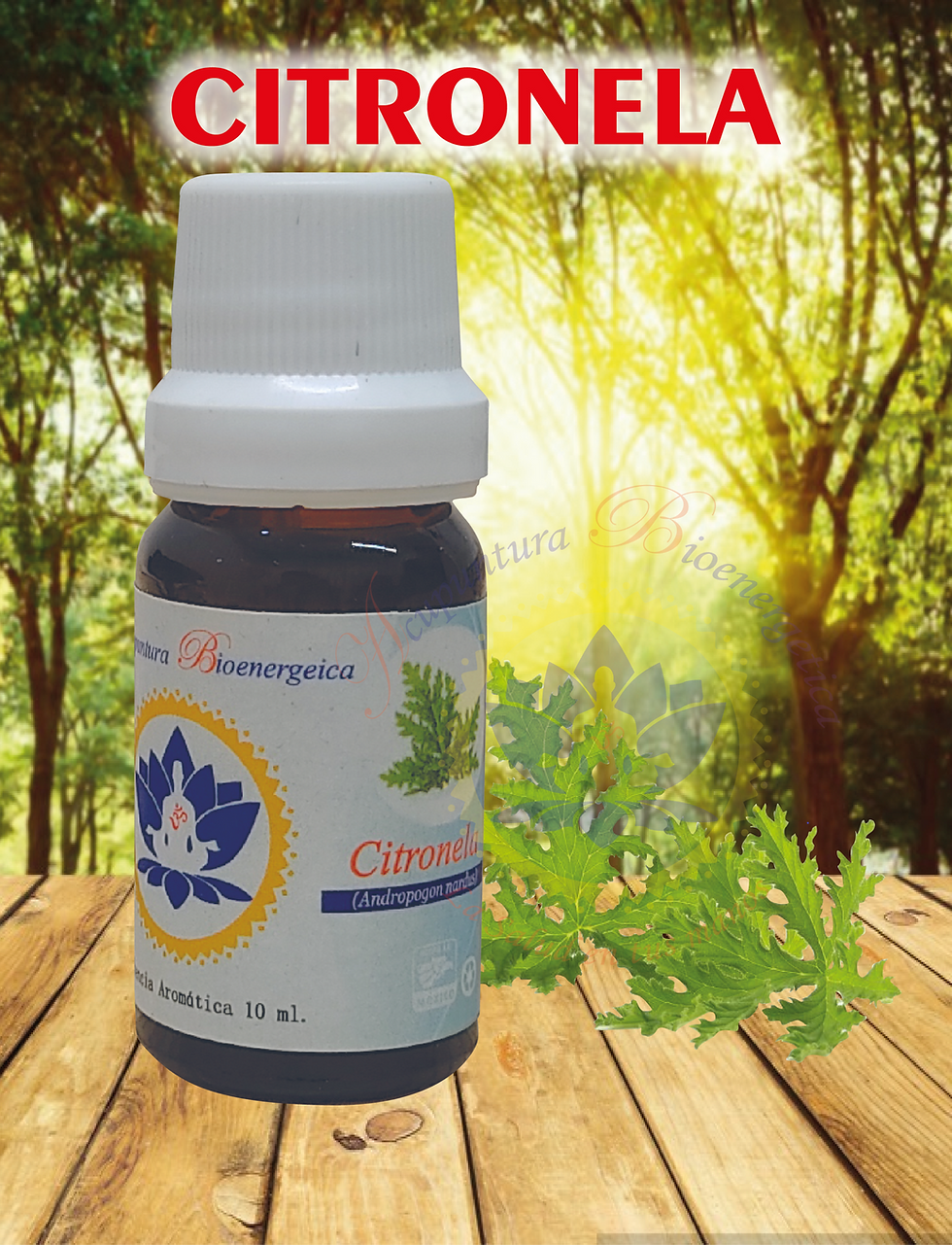 ACEITE ESENCIAL DE CITRONELA 10ML