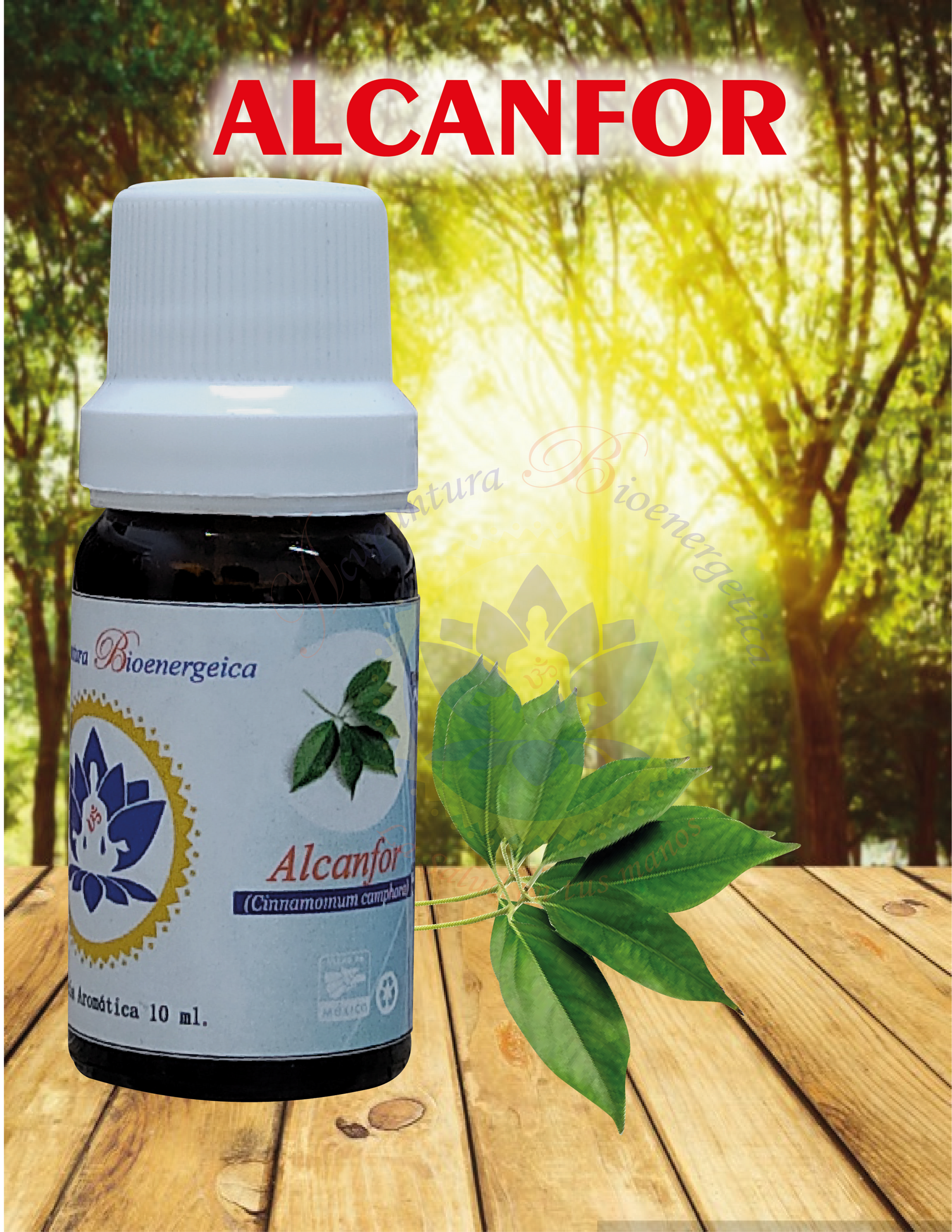 ACEITE ESENCIAL DE ALCANFOR 10ML