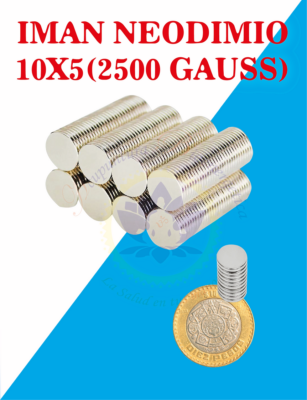 IMAN NEODIMIO 10X5 (2500 GAUSS)