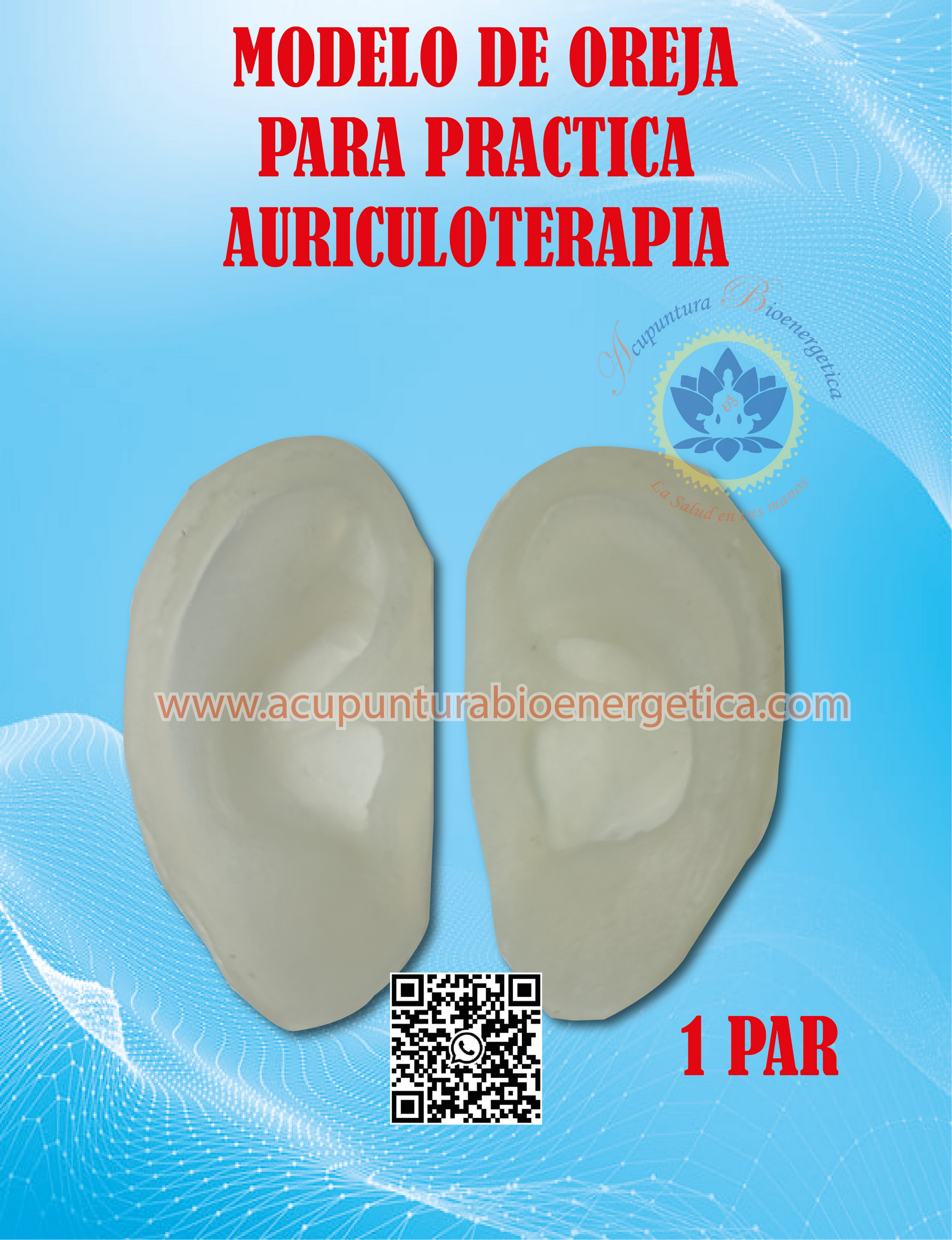 MODELO ANATOMICO DE OREJA 5.5 SILICONA PARA PRACTICA