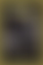 Ashley Harvey's Birthday Bash @ CATIL - 2/23