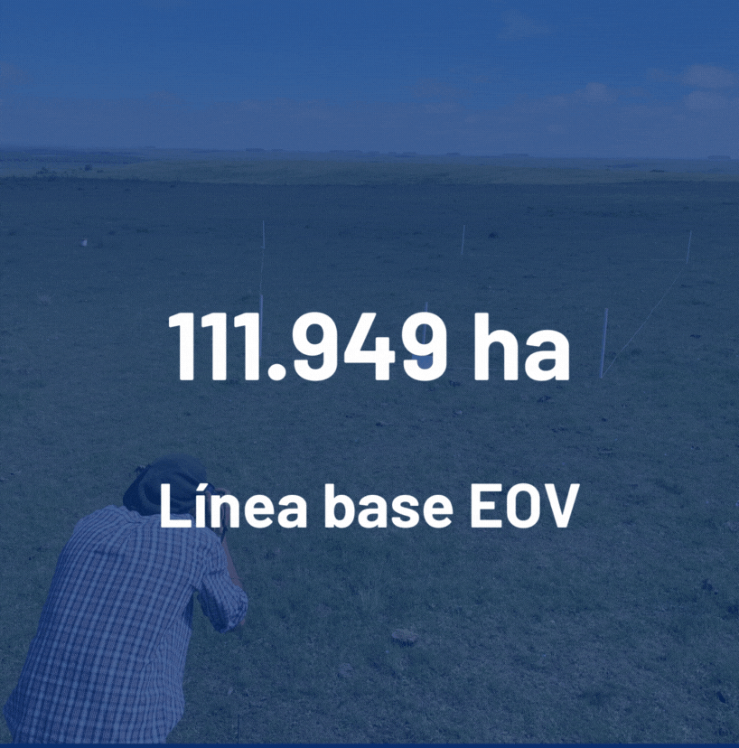 Línea base EOV (818 × 828 px) (6).gif