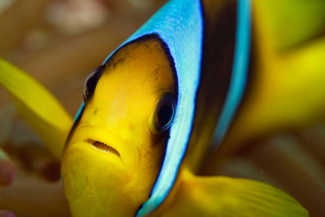 Indischer Ozean-Malediven-Hotels-Baros Maldives-sports -7752.jpg