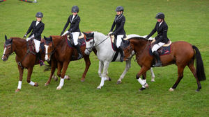 Bilder Schwadronstagung