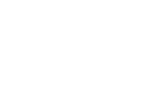 Primary Logo, White.png