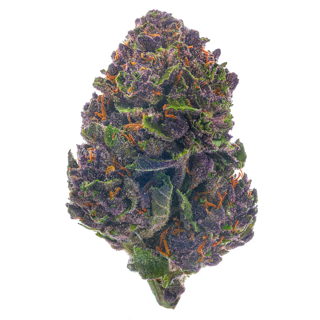 Grand Daddy Purple