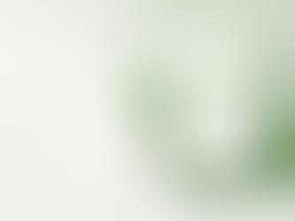 Shareholder Agreement in Canada: Why It Matters